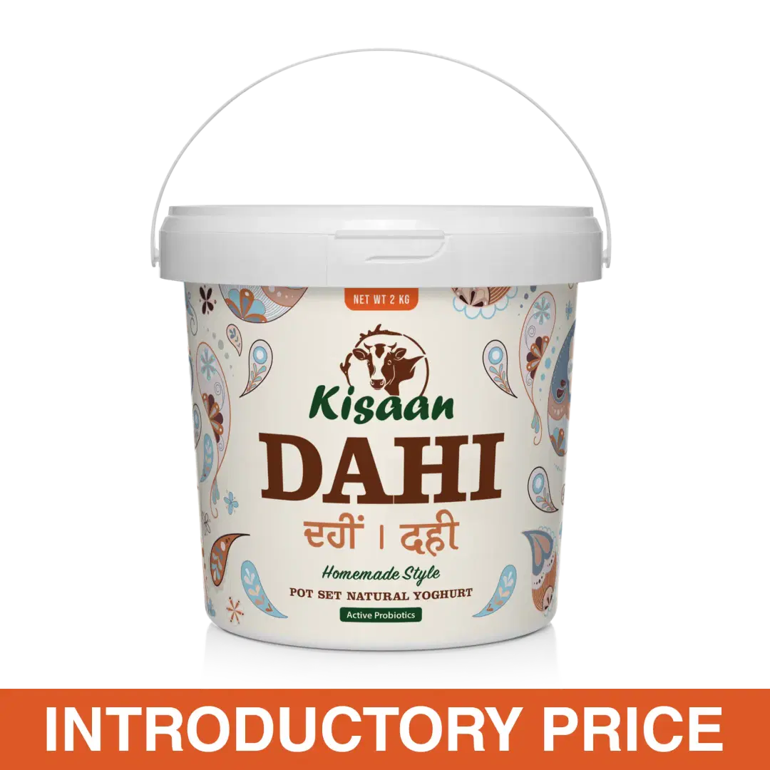 KISAAN INDIAN STYLE DAHI (YOGHURT) 2 LTR