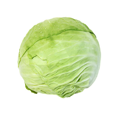 CABBAGE 1 PC