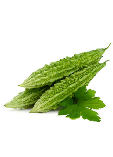 Bitter Melon 500 gm-600gm