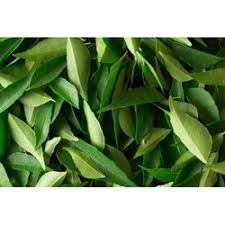 CURRY LEAVES BAG